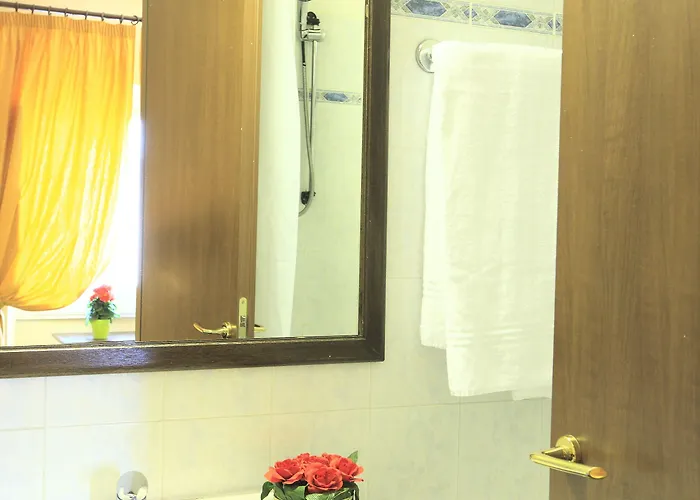 Hotel Rex 3*